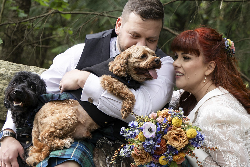 A smiling bride and groom in wedding attire pose outdoors with their two dogs, a brown poodle and a black dog, surrounded by greenery.